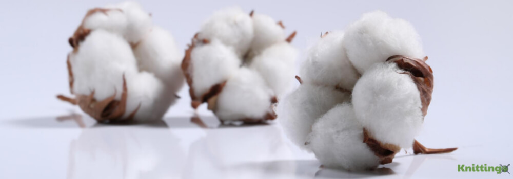 algodon cotton vs normal cotton fabric
