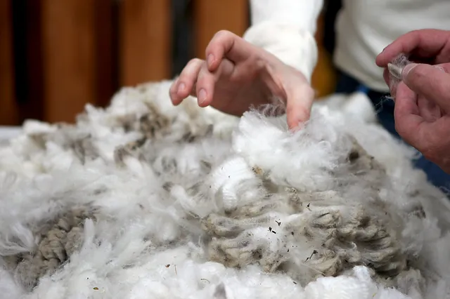 What Is Wool Made Of: Unraveling the Secrets of Nature’s Finest Fiber